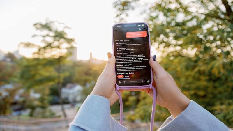 Mevsimlerin Ötesinde Bir İlgi